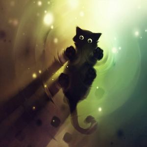 Meet your Posher, Kelley